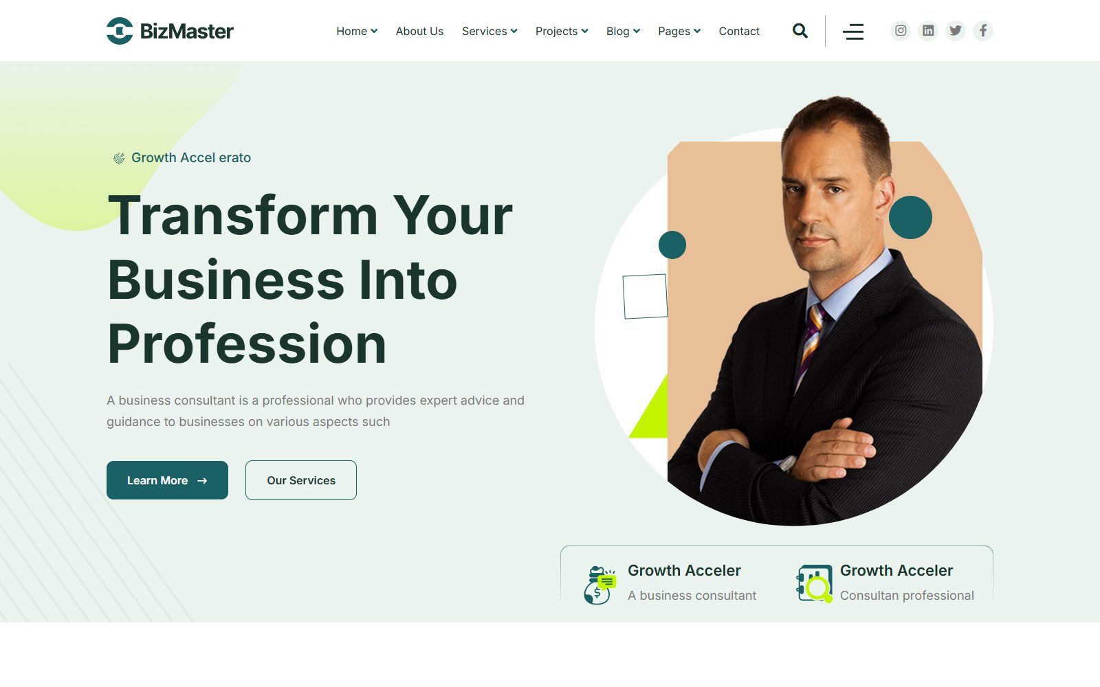 Bizmaster Consulting Business